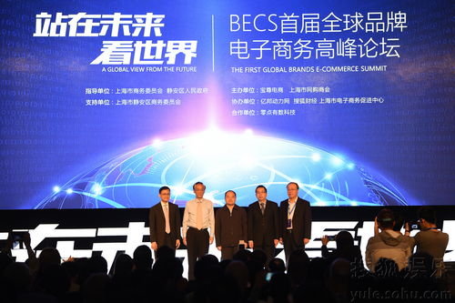 2016年首届全球品牌电子商务高峰论坛 电商时代的品牌重塑与全球机遇