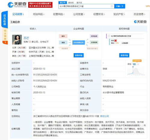 苏芒成立全资商务信息咨询工作室，布局个人商业蓝图