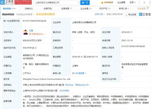 商务信息咨询的价值与应用